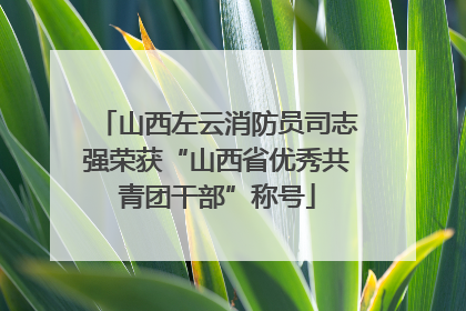 山西左云消防员司志强荣获“山西省优秀共青团干部”称号